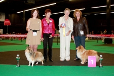 Euro Dog Show Leeuwarden 1-4 september